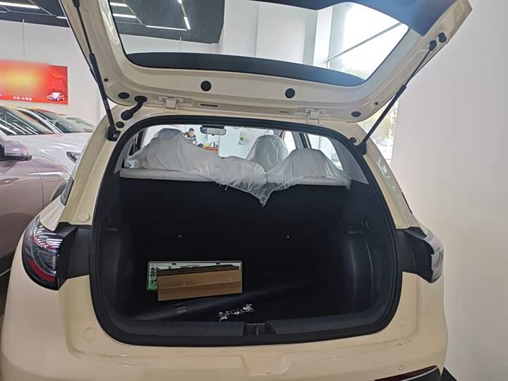 Geely Galaxy Geome 2026 2026款 310km 青春版