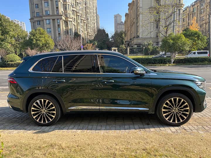 Geely Monjaro 2025 2025款 东方曜 2.0TD 自动揽星版