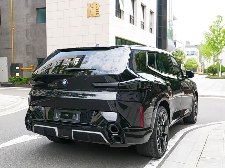 BMW XM 2023 2023款 50e