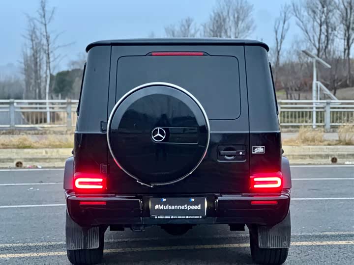 Mercedes-Benz G-Class 2024 2024款 G 350