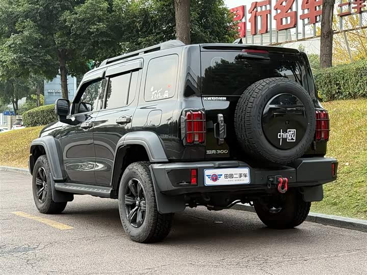 Tank 300 2024 2024款 2.0T 征服者