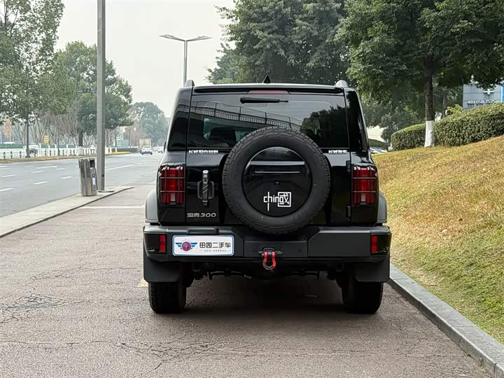 Tank 300 2024 2024款 2.0T 征服者