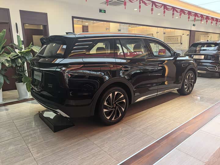 Hongqi HS7 Hybrid 2024 2024款 2.0T PHEV 四驱旗畅版 7座