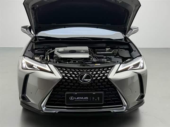 Lexus UX 2020 2020款 200 特别版