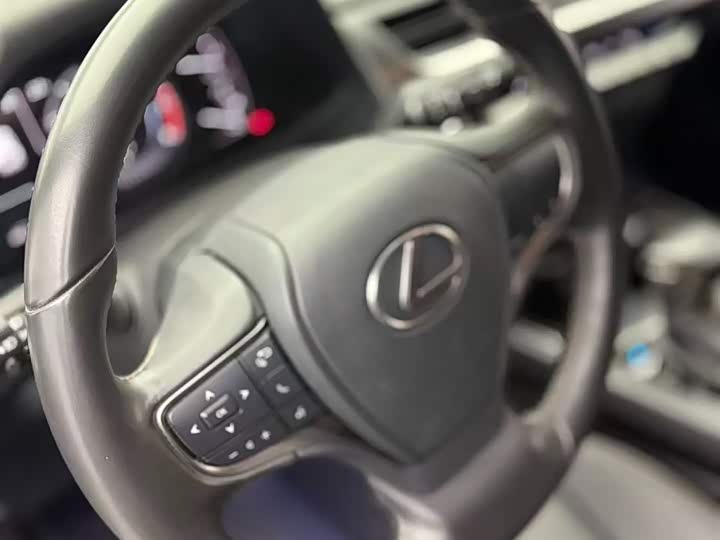 Lexus UX 2020 2020款 200 特别版