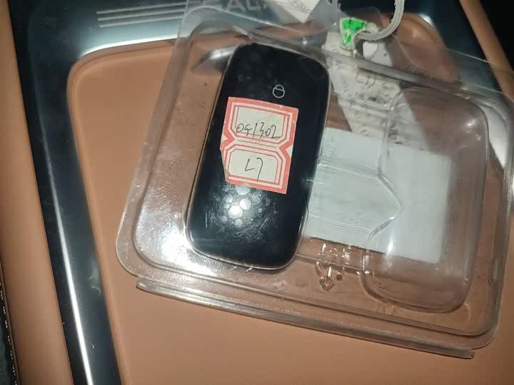 Geely Galaxy L7 2025 2025款 EM-i 115km 远航版