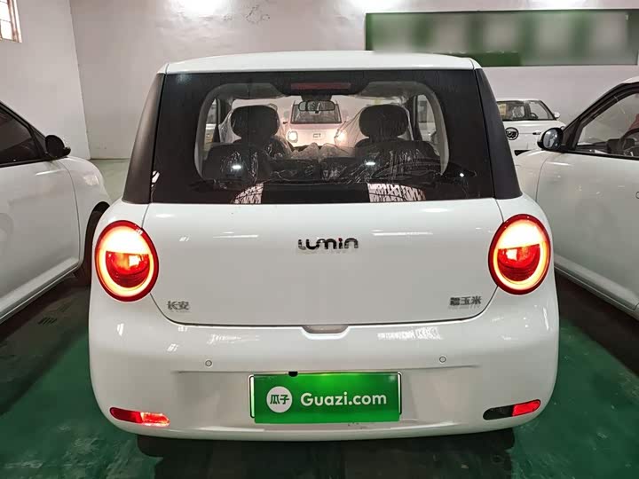 Changan Qiyuan (Nevo) Lumin 2025 2025款 205km 香沁款