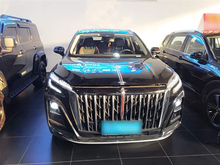 Hongqi HS3 2023 2023款 1.5T 两驱善为版