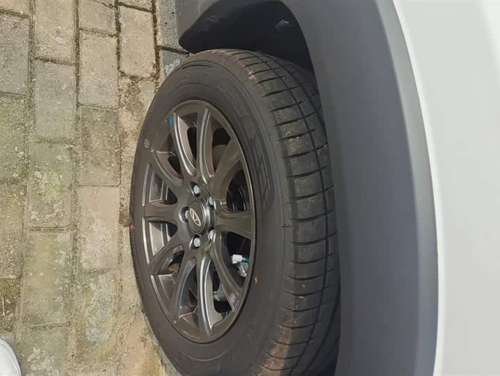 Chery Tiggo 3x 2024 2024款 1.5L CVT卓越版