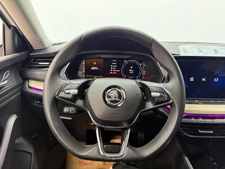 Skoda Octavia Pro 2023 2023款 改款 PRO TSI280 奢享版