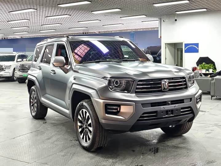 Tank 700 Hybrid 2024 2024款 Hi4-T 极境版