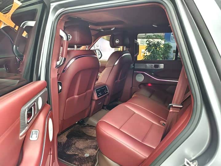 Tank 700 Hybrid 2024 2024款 Hi4-T 极境版