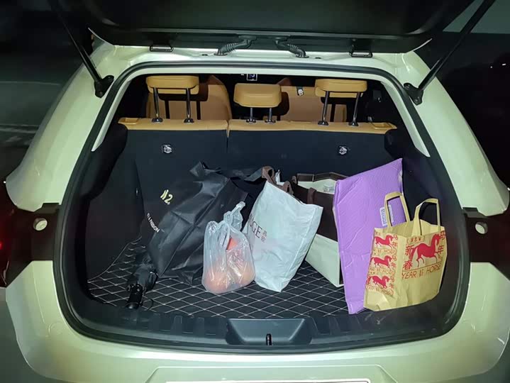 Lexus UX Hybrid 2020 2020款 300e 纯·悦版