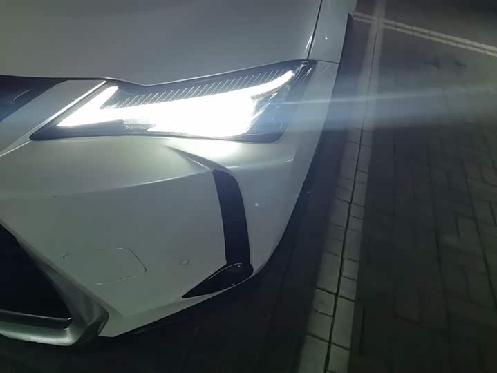 Lexus UX Hybrid 2020 2020款 300e 纯·悦版