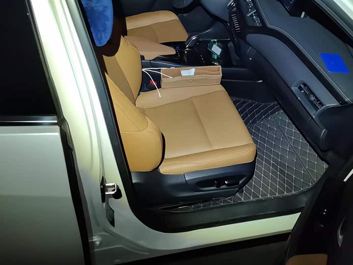 Lexus UX Hybrid 2020 2020款 300e 纯·悦版