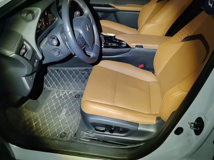 Lexus UX Hybrid 2020 2020款 300e 纯·悦版