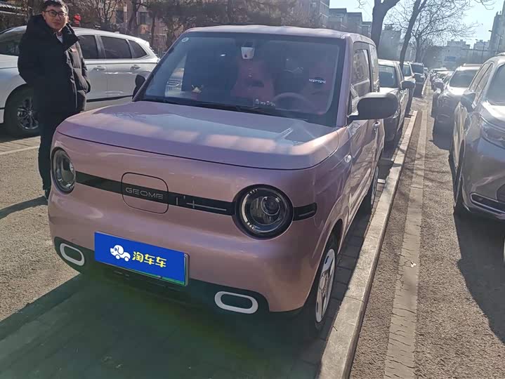 Geely Galaxy Panda Mini 2025 2025款 熊猫mini 210km 元气熊