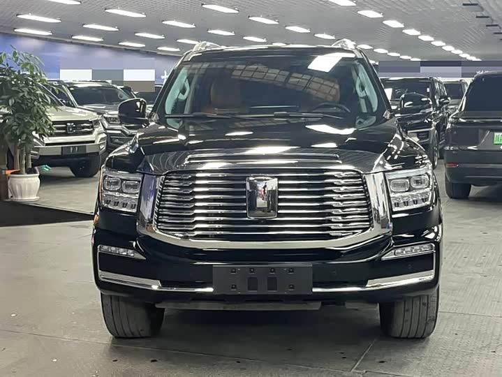 Tank 500 Hybrid 2025 2025款 Hi4-Z