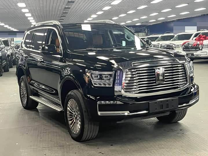 Tank 500 Hybrid 2025 2025款 Hi4-Z