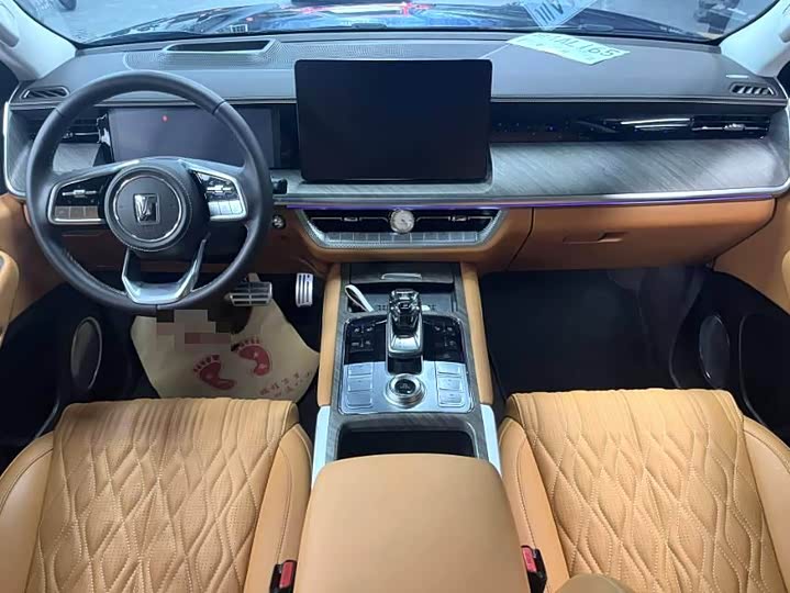 Tank 500 Hybrid 2025 2025款 Hi4-Z