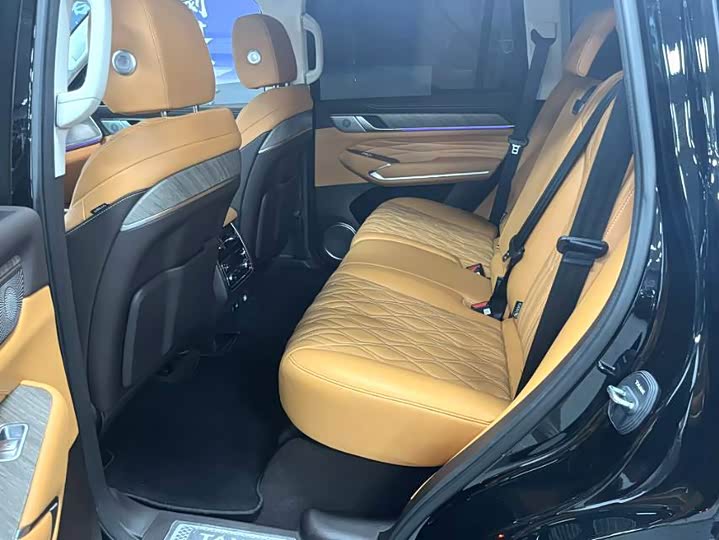 Tank 500 Hybrid 2025 2025款 Hi4-Z