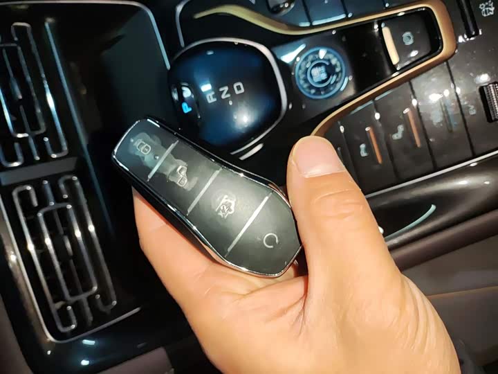 BYD Frigate 07 2024 2024款 荣耀版 DM-i 100KM 豪华型