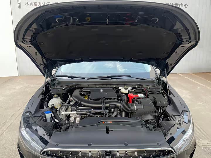 Lincoln Z (Zephyr) 2024 2024款 2.0T 两驱尊逸混动版