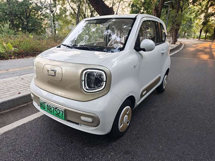 Bestune Pony 2026 2026款 222km 炫彩马