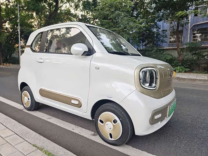 Bestune Pony 2026 2026款 222km 炫彩马