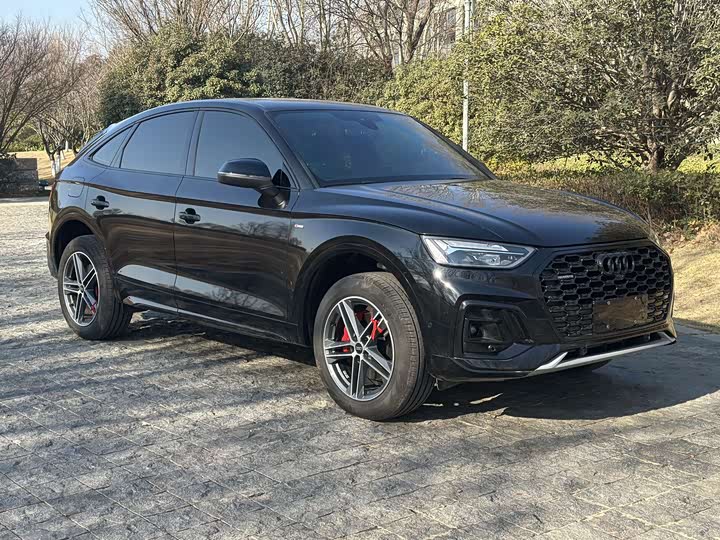 Audi Q5L Sportback 2025 2025款 quattro 45周年典藏版 40 TFSI 时尚型