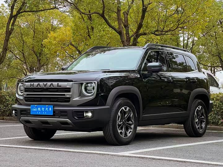Haval Dargo 2024 2024款 2.0T DCT中华田园犬版