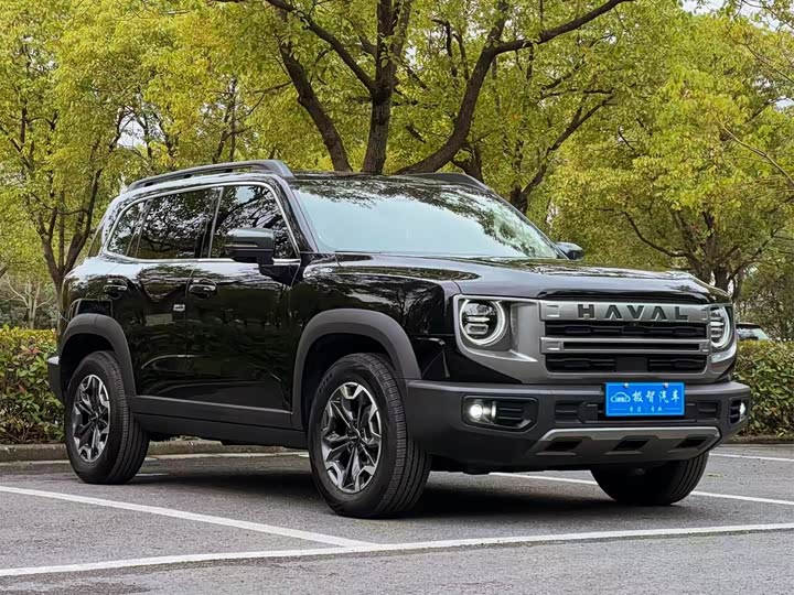 Haval Dargo 2024 2024款 2.0T DCT中华田园犬版