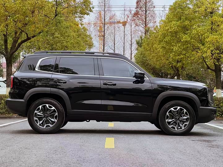 Haval Dargo 2024 2024款 2.0T DCT中华田园犬版