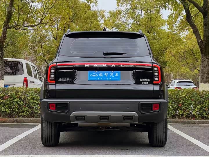 Haval Dargo 2024 2024款 2.0T DCT中华田园犬版