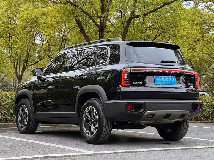 Haval Dargo 2024 2024款 2.0T DCT中华田园犬版