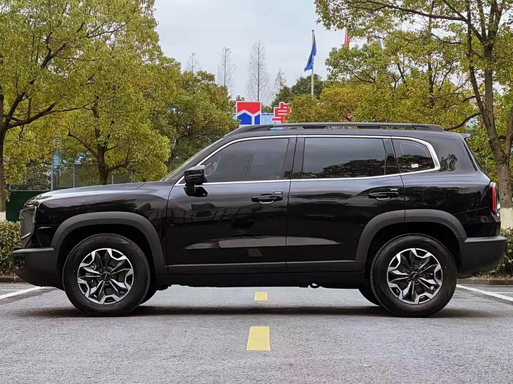 Haval Dargo 2024 2024款 2.0T DCT中华田园犬版