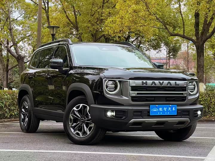 Haval Dargo 2024 2024款 2.0T DCT中华田园犬版