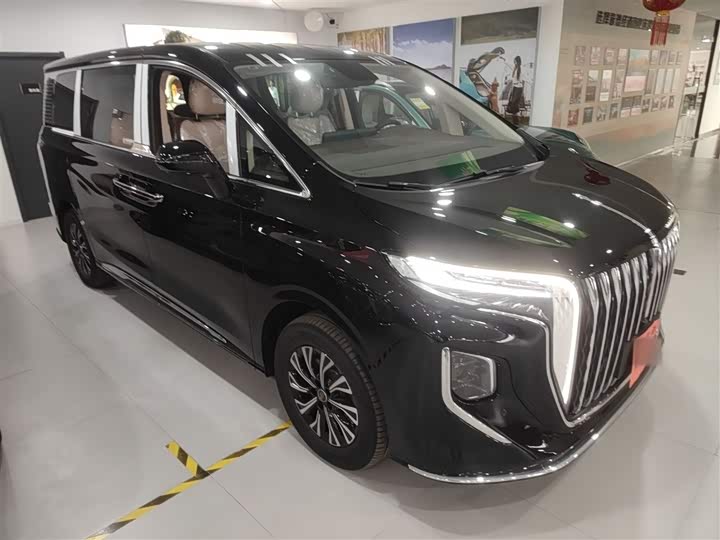 Hongqi HQ9 Hybrid 2024 2024款 2.0T 四驱商务版