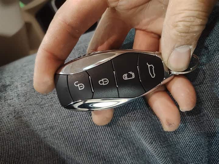 Hongqi HQ9 Hybrid 2024 2024款 2.0T 四驱商务版