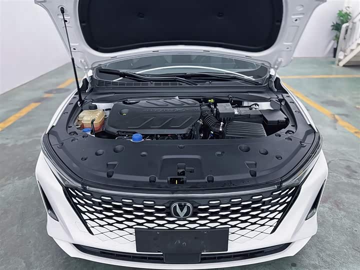 2023 Changan Raeton Plus