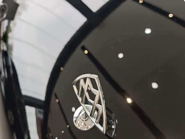 Mercedes-Benz Vito 2024 2024款 2.0T 精英版 7座