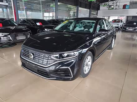 Volkswagen Passat Hybrid 2025 2025款 430PHEV 混动商务版