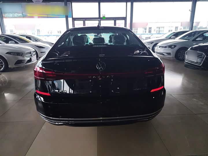 Volkswagen Passat Hybrid 2025 2025款 430PHEV 混动商务版