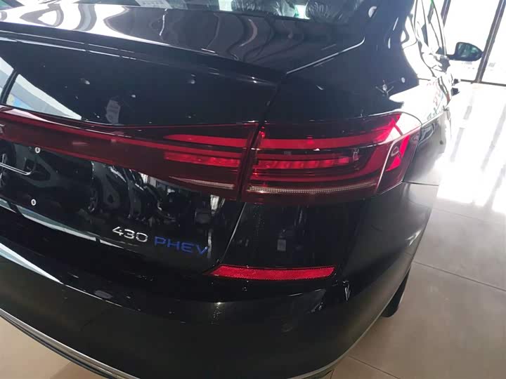 Volkswagen Passat Hybrid 2025 2025款 430PHEV 混动商务版