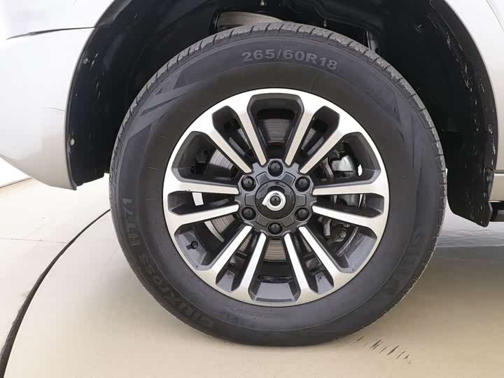 Great Wall Shanhai Poer 2023 2023款 2.4T 柴油极享牵引版