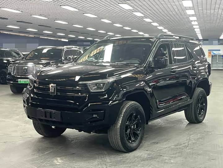 Tank 400 Hybrid 2024 2024款 Hi4-T 城市版