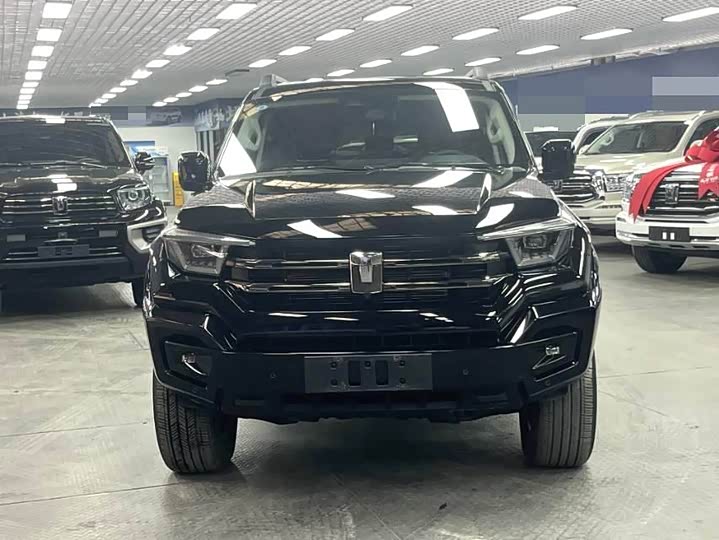 Tank 400 Hybrid 2024 2024款 Hi4-T 城市版