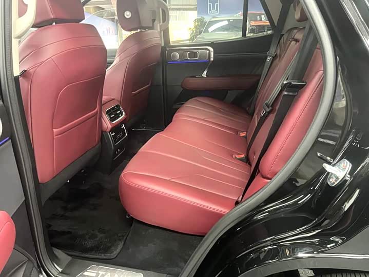 Tank 400 Hybrid 2024 2024款 Hi4-T 城市版