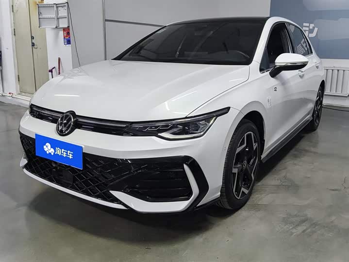 Volkswagen Golf 2025 2025款 300TSI R-Line