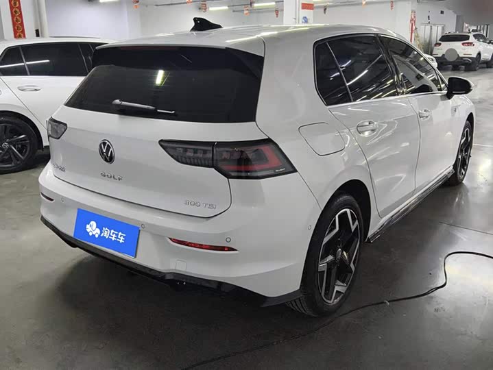 Volkswagen Golf 2025 2025款 300TSI R-Line